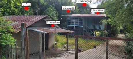 ขายทอดตลาด ที่ดินพร้อมสิ่งปลูกสร้าง ต.บางพึ่ง อ.บ้านหมี่ จ.ลพบุรี