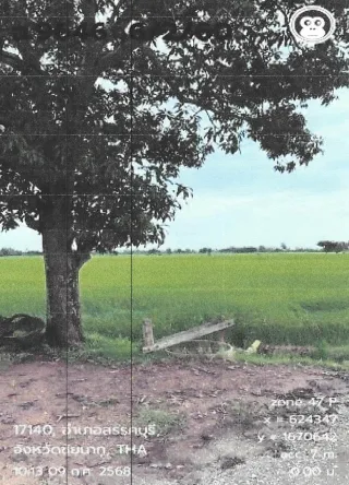 รูปทรัพย์ 2