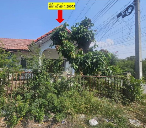 ขายทอดตลาด ที่ดินพร้อมสิ่งปลูกสร้าง ต.ห้วยโป่ง อ.โคกสำโรง จ.ลพบุรี