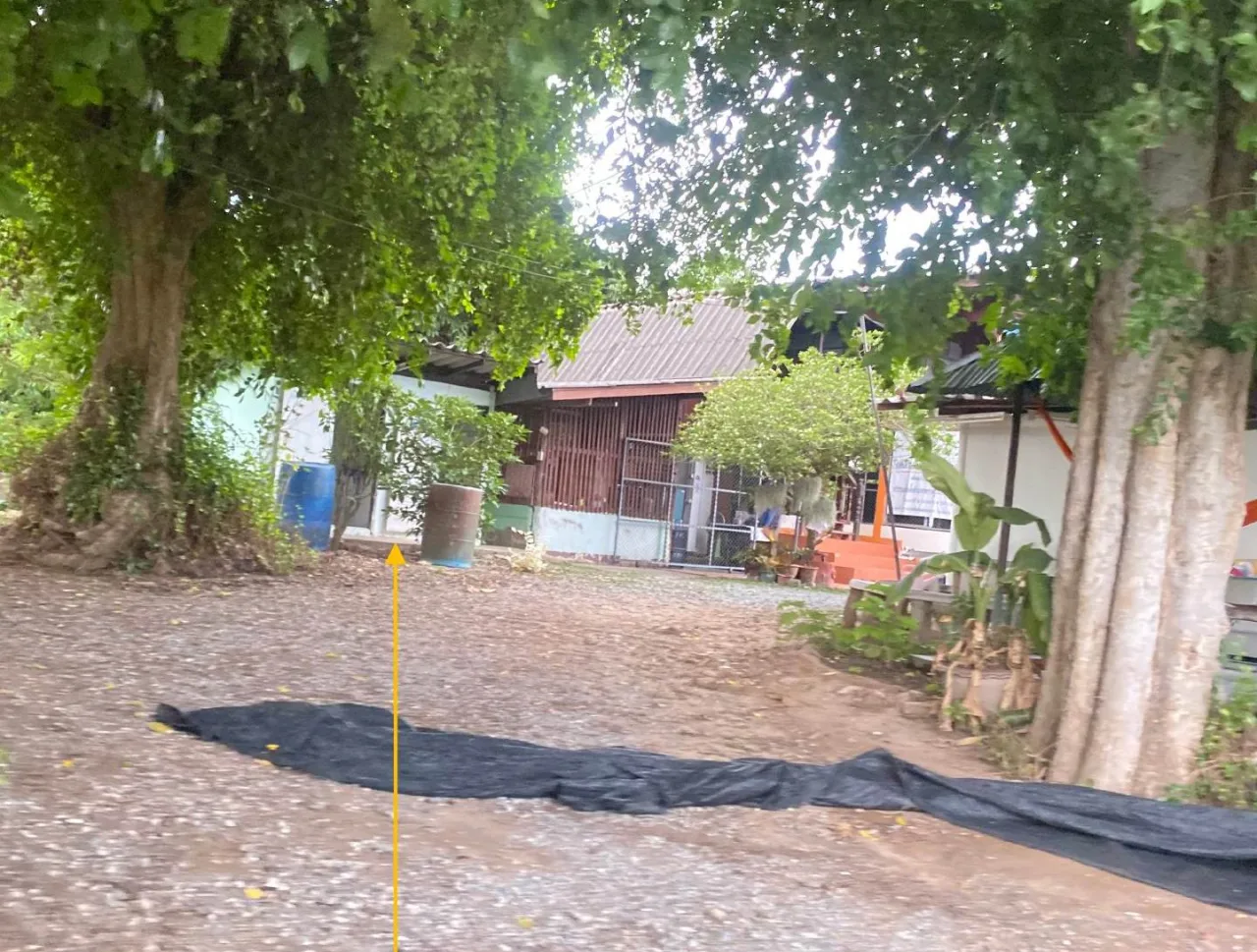 ขายทอดตลาด ที่ดินพร้อมสิ่งปลูกสร้าง ต.ป่าซาง อ.ป่าซาง จ.ลำพูน