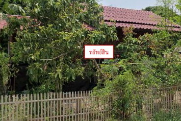 ขายทอดตลาด ที่ดินพร้อมสิ่งปลูกสร้าง ต.ทุ่งยาว อ.ปาย จ.แม่ฮ่องสอน