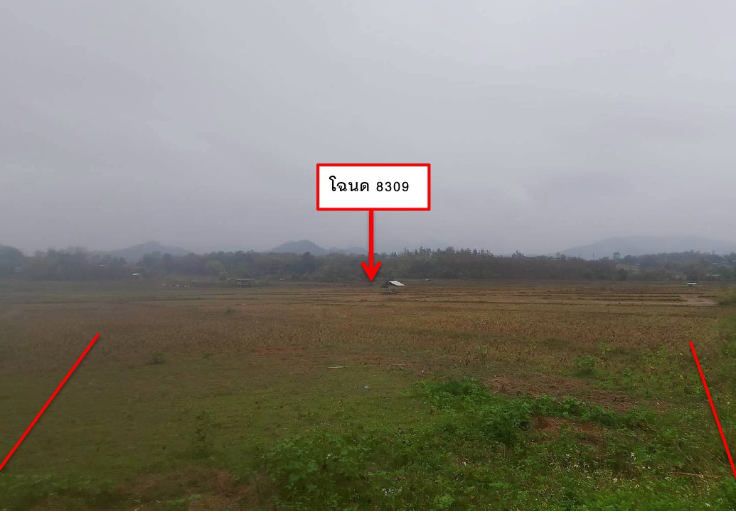 ขายทอดตลาด ที่ดินว่างเปล่า จ.แม่ฮ่องสอน
