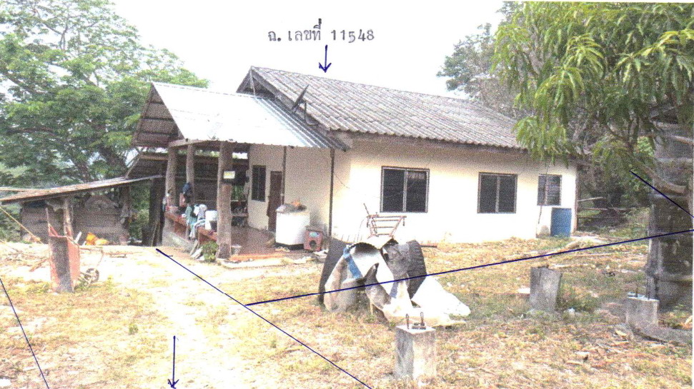 ขายทอดตลาด ที่ดินพร้อมสิ่งปลูกสร้าง ต.แม่ฮี้ อ.ปาย จ.แม่ฮ่องสอน