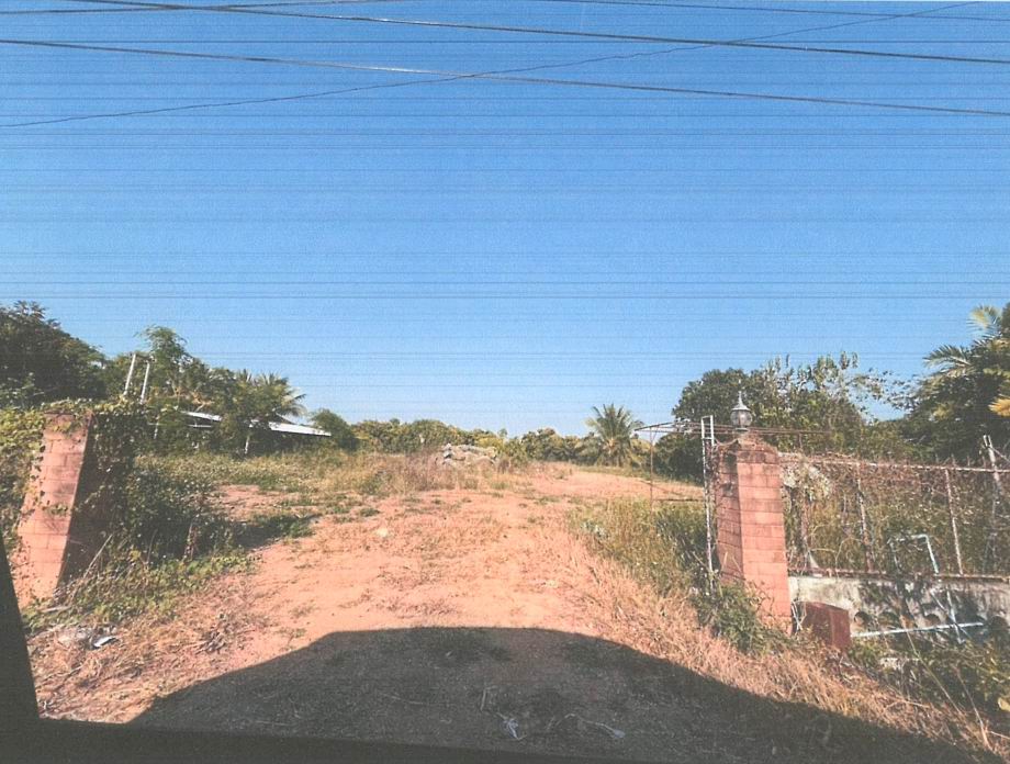 ขายทอดตลาด ที่ดินว่างเปล่า จ.ลำพูน