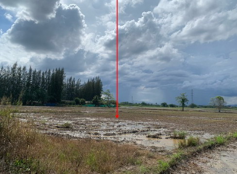 ขายทอดตลาด ที่ดินว่างเปล่า จ.ลำพูน