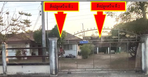 ขายทอดตลาด ที่ดินพร้อมสิ่งปลูกสร้าง ต.ป่าสัก อ.เมืองลำพูน จ.ลำพูน