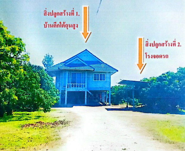 ขายทอดตลาด ที่ดินพร้อมสิ่งปลูกสร้าง ต.น้ำดิบ อ.ป่าซาง จ.ลำพูน