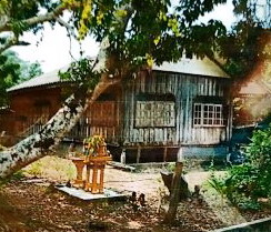 ขายทอดตลาด ที่ดินพร้อมสิ่งปลูกสร้าง ต.ป่าไผ่ อ.ลี้ จ.ลำพูน