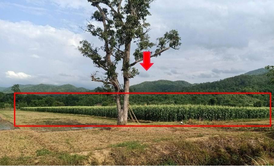 ขายทอดตลาด ที่ดินว่างเปล่า ต.ทุ่งยาว อ.ปาย จ.แม่ฮ่องสอน
