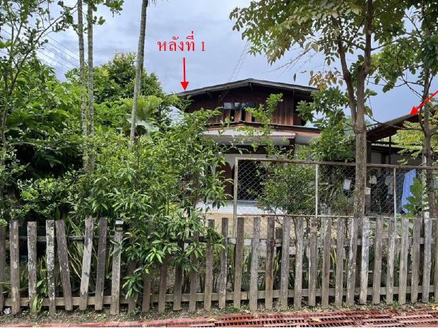 ขายทอดตลาด ที่ดินพร้อมสิ่งปลูกสร้าง ต.เวียงเหนือ อ.ปาย จ.แม่ฮ่องสอน