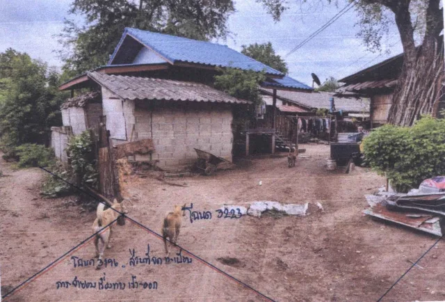 ขายทอดตลาด ที่ดินพร้อมสิ่งปลูกสร้าง ต.ทุ่งยาว อ.ปาย จ.แม่ฮ่องสอน