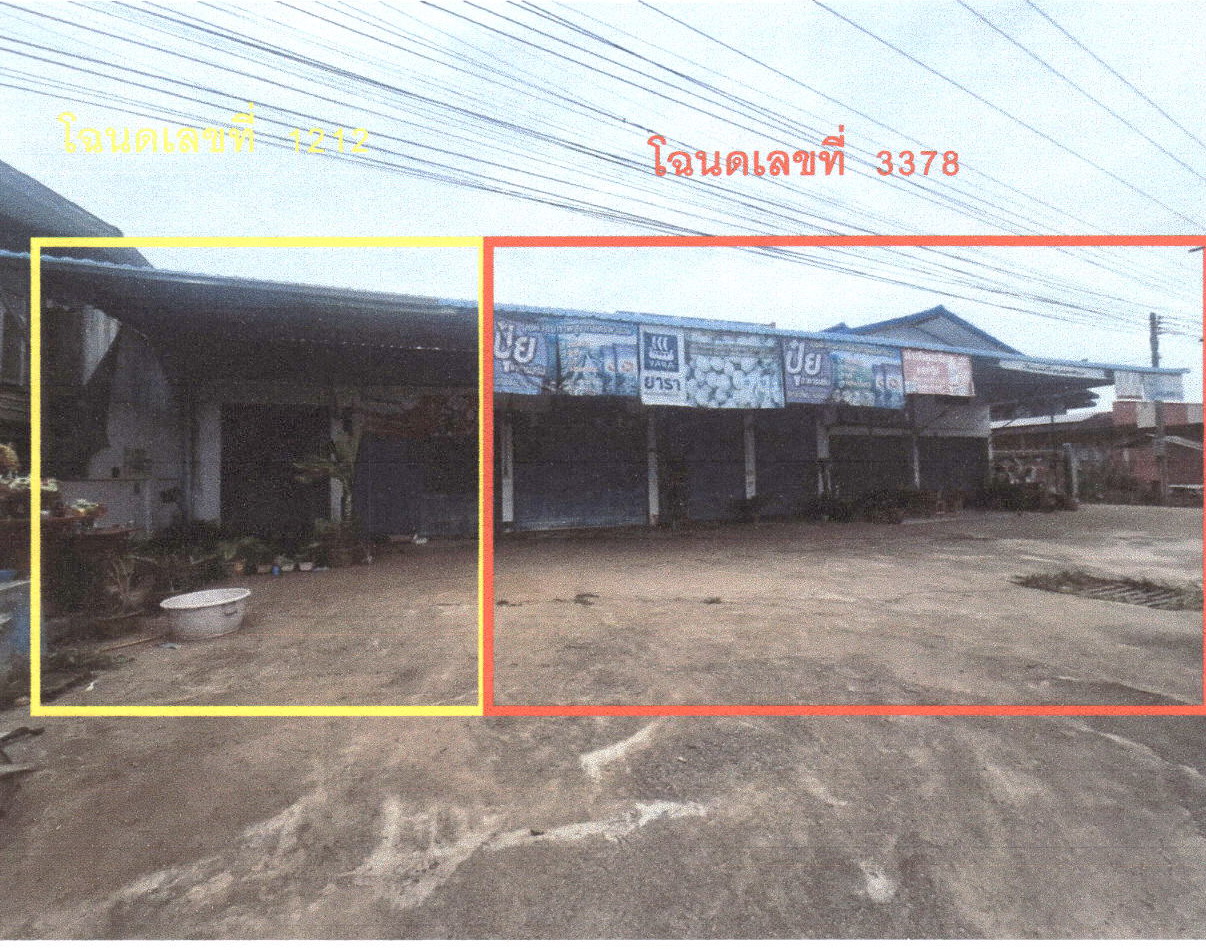ขายทอดตลาด ที่ดินพร้อมสิ่งปลูกสร้าง ต.ป่าไผ่ อ.ลี้ จ.ลำพูน
