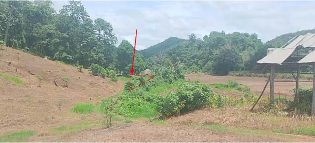 ขายทอดตลาด ที่ดินว่างเปล่า ต.ห้วยโป่ง อ.เมืองแม่ฮ่องสอน จ.แม่ฮ่องสอน