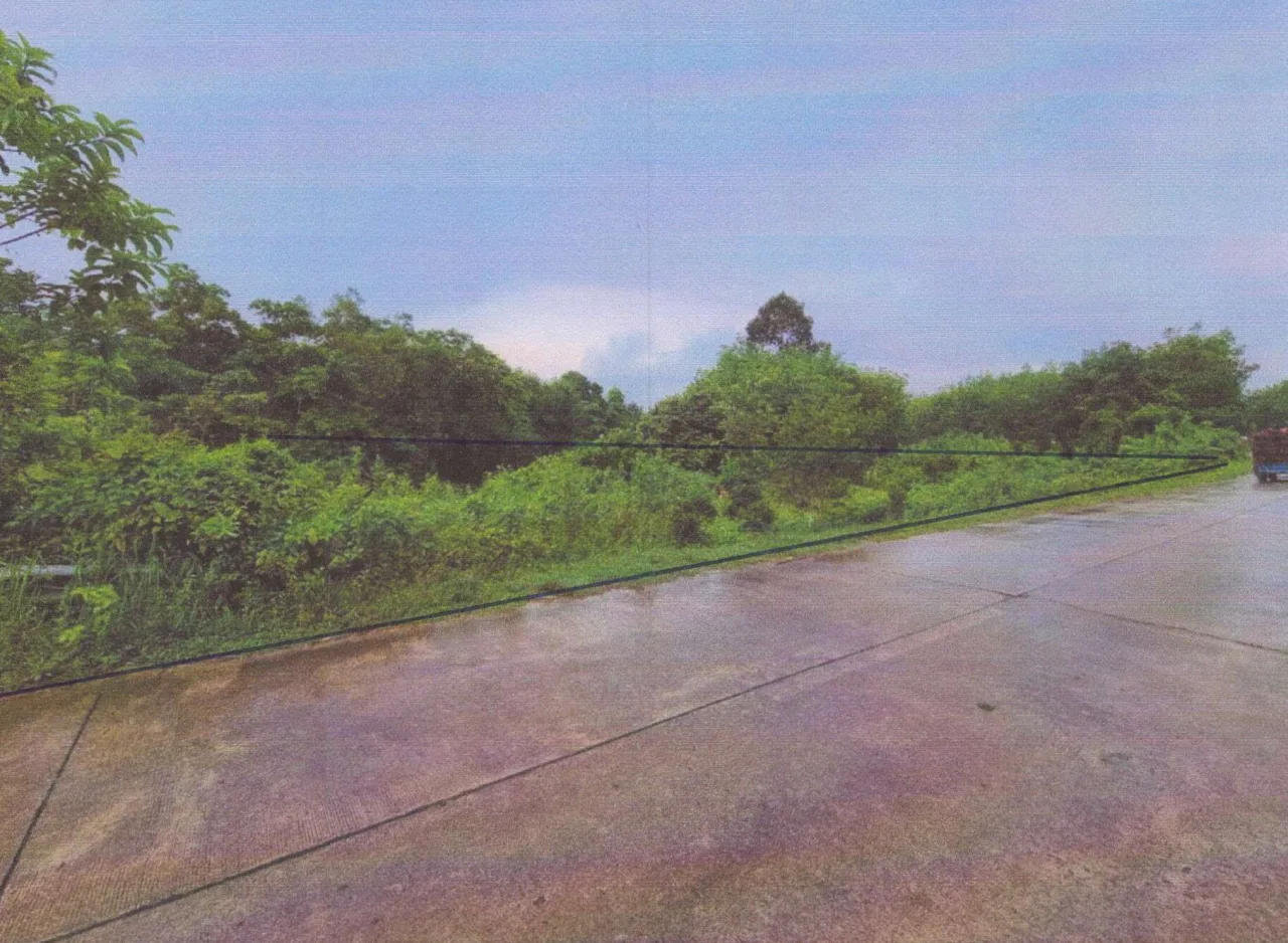 ขายทอดตลาด ที่ดินว่างเปล่า ต.ท่าสะบ้า อ.วังวิเศษ จ.ตรัง