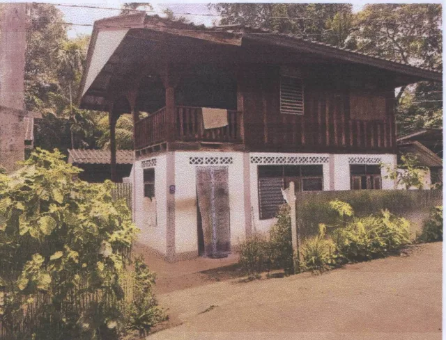 ขายทอดตลาด ที่ดินพร้อมสิ่งปลูกสร้าง ต.สันติคีรี อ.แม่ลาน้อย จ.แม่ฮ่องสอน