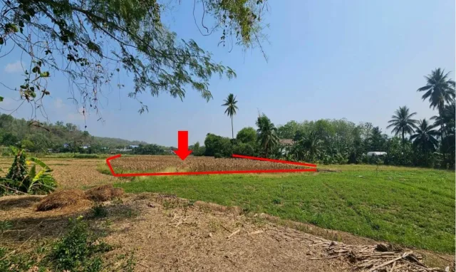 ขายทอดตลาด ที่ดินว่างเปล่า จ.แม่ฮ่องสอน