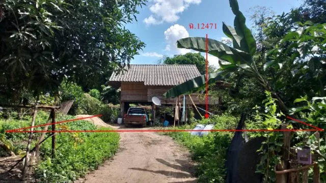 ขายทอดตลาด ที่ดินพร้อมสิ่งปลูกสร้าง ต.บ้านกาศ อ.แม่สะเรียง จ.แม่ฮ่องสอน