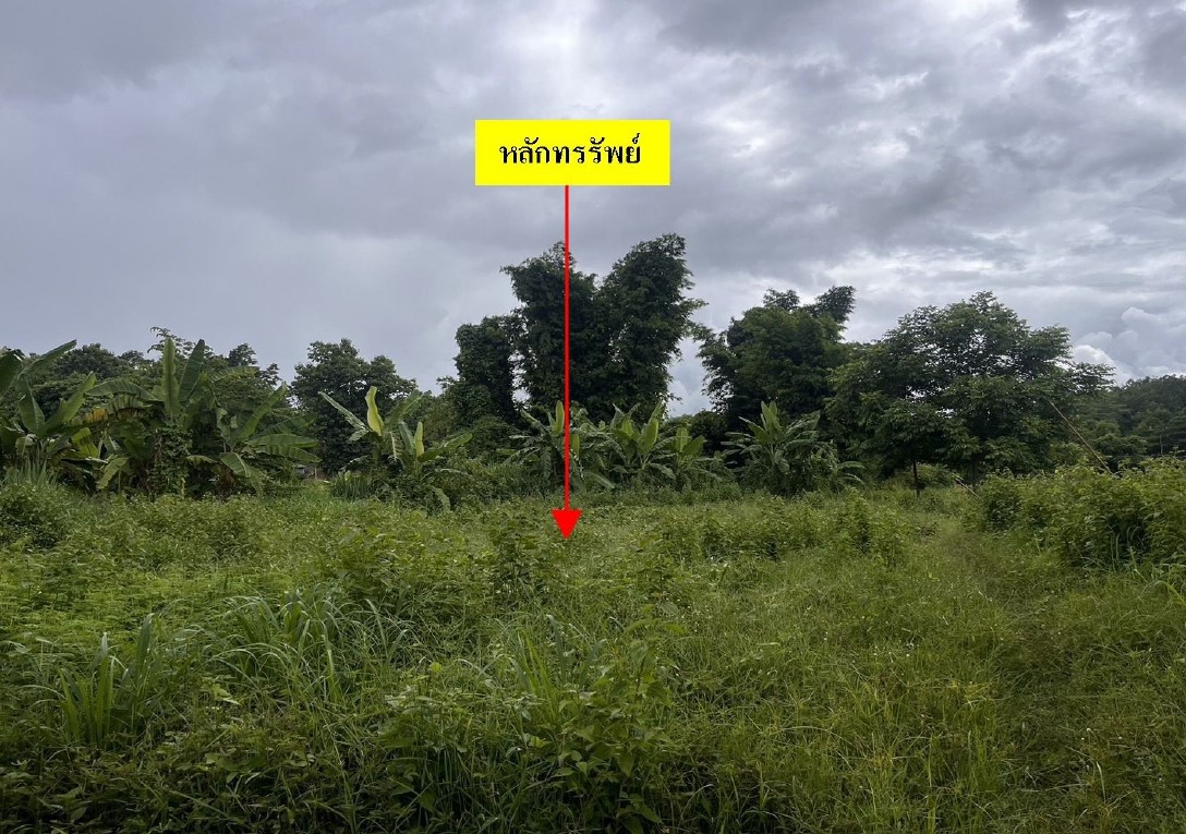ขายทอดตลาด ที่ดินว่างเปล่า ต.แม่คง อ.แม่สะเรียง จ.แม่ฮ่องสอน