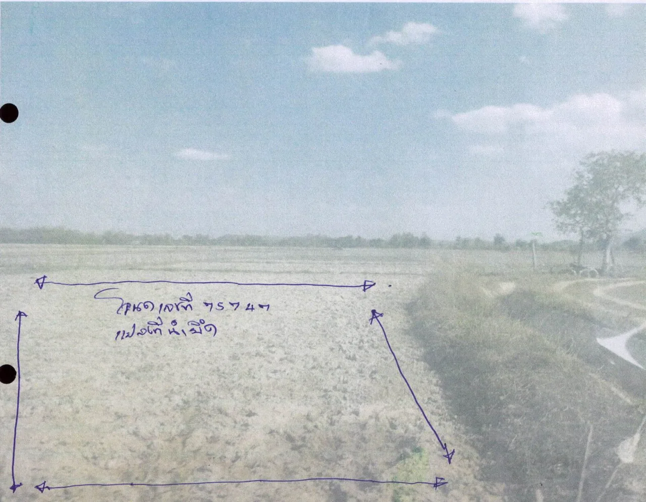ขายทอดตลาด ที่ดินว่างเปล่า ต.แม่อ้อ อ.พาน จ.เชียงราย