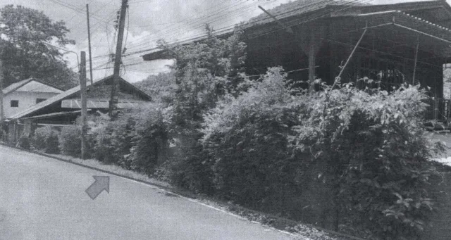 ขายทอดตลาด ที่ดินพร้อมสิ่งปลูกสร้าง ต.แม่สะเรียง อ.แม่สะเรียง จ.แม่ฮ่องสอน