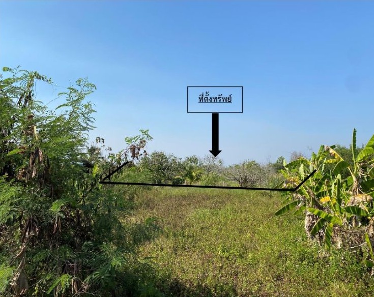 ขายทอดตลาด ที่ดินว่างเปล่า จ.ลำพูน