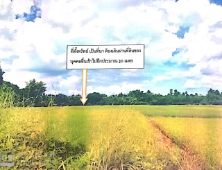 รูปทรัพย์ 2