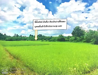 รูปทรัพย์ 3