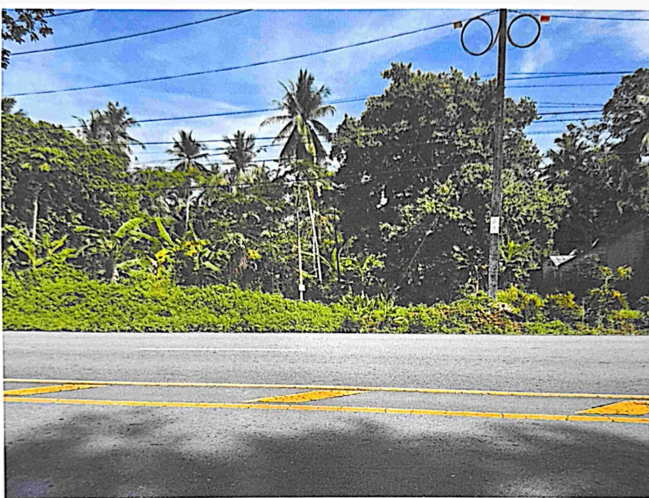 ขายทอดตลาด ที่ดินว่างเปล่า ต.ปากคม อ.ห้วยยอด จ.ตรัง