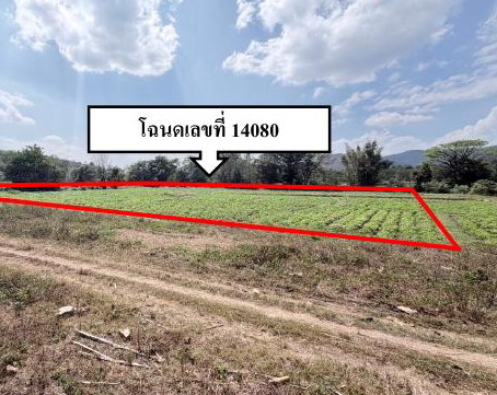 ขายทอดตลาด ที่ดินว่างเปล่า จ.ลำพูน