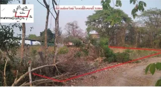 รูปทรัพย์ 2