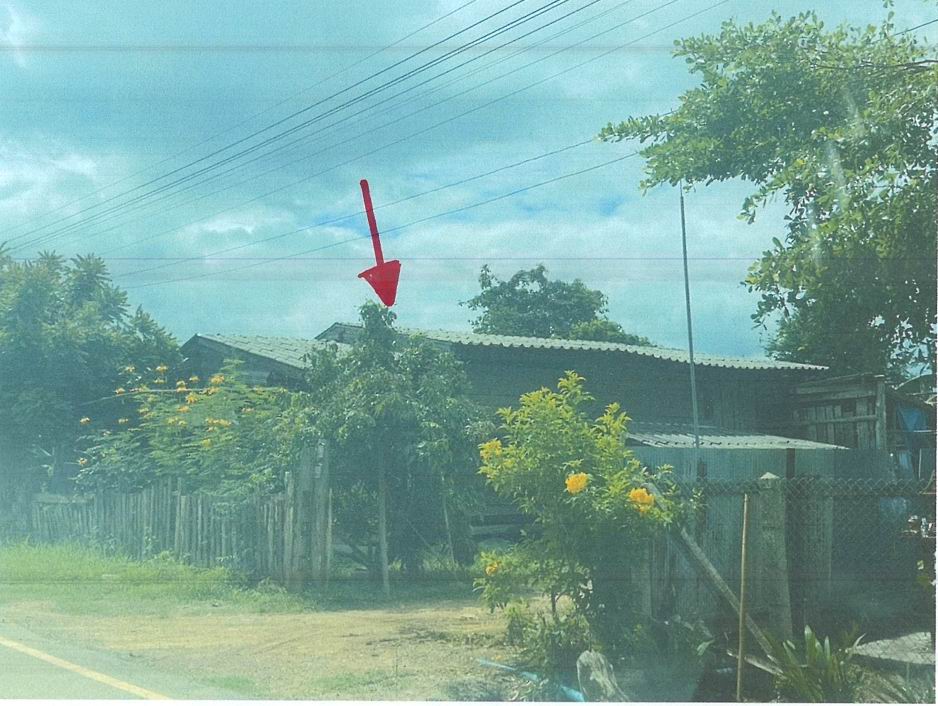 ขายทอดตลาด ที่ดินพร้อมสิ่งปลูกสร้าง ต.ก้อ อ.ลี้ จ.ลำพูน
