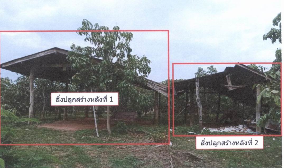 ขายทอดตลาด ที่ดินพร้อมสิ่งปลูกสร้าง ต.ศรีเตี้ย อ.บ้านโฮ่ง จ.ลำพูน