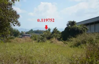 รูปทรัพย์ 2