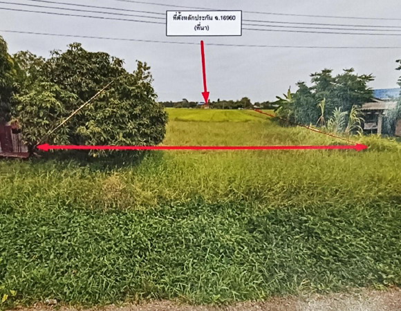ขายทอดตลาด ที่ดินว่างเปล่า จ.ราชบุรี