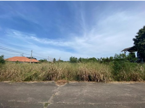 ขายทอดตลาด ที่ดินว่างเปล่า จ.ชลบุรี