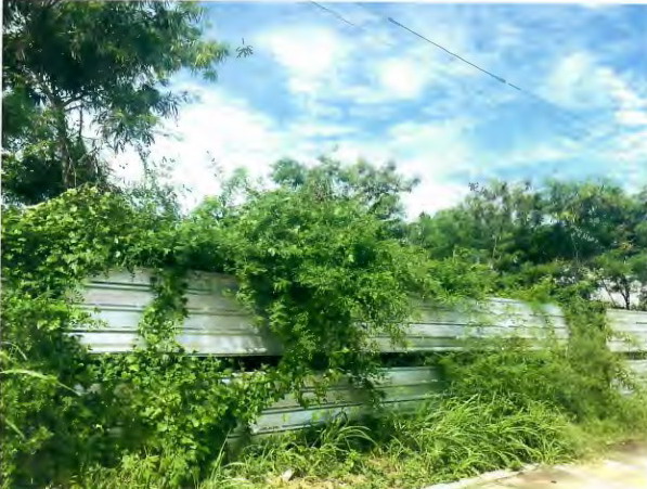 ขายทอดตลาด ที่ดินว่างเปล่า ต.หนองปรือ อ.บางละมุง จ.ชลบุรี