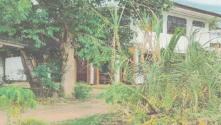 รูปทรัพย์ 2