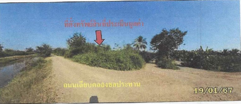 ขายทอดตลาด ที่ดินพร้อมสิ่งปลูกสร้าง ต.บ่อกระดาน อ.ปากท่อ จ.ราชบุรี
