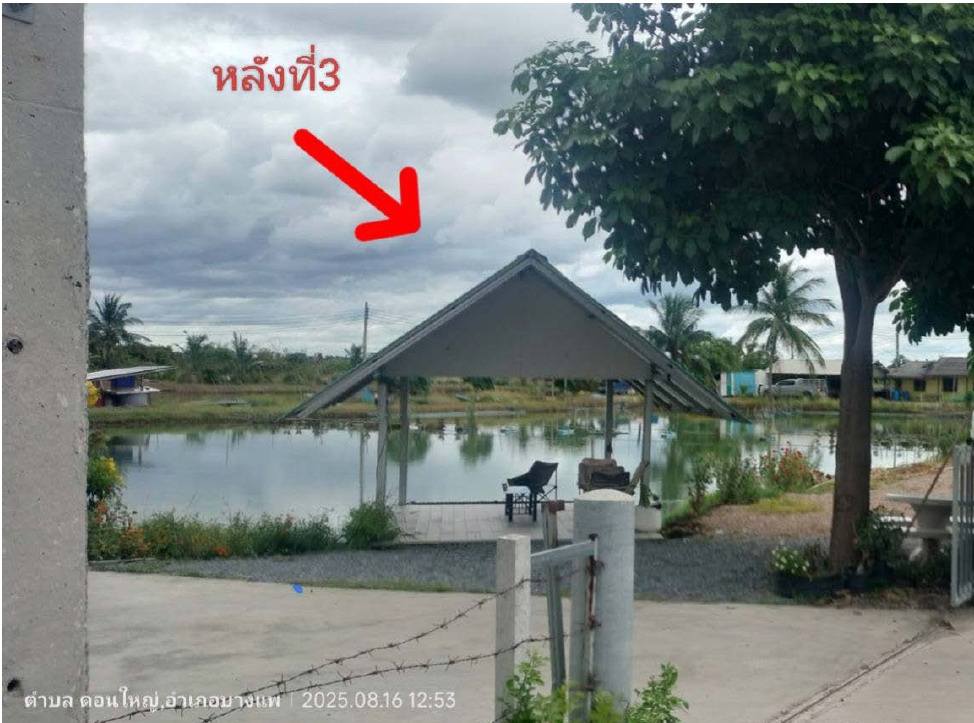 ขายทอดตลาด ที่ดินพร้อมสิ่งปลูกสร้าง ต.ดอนใหญ่ อ.บางแพ จ.ราชบุรี