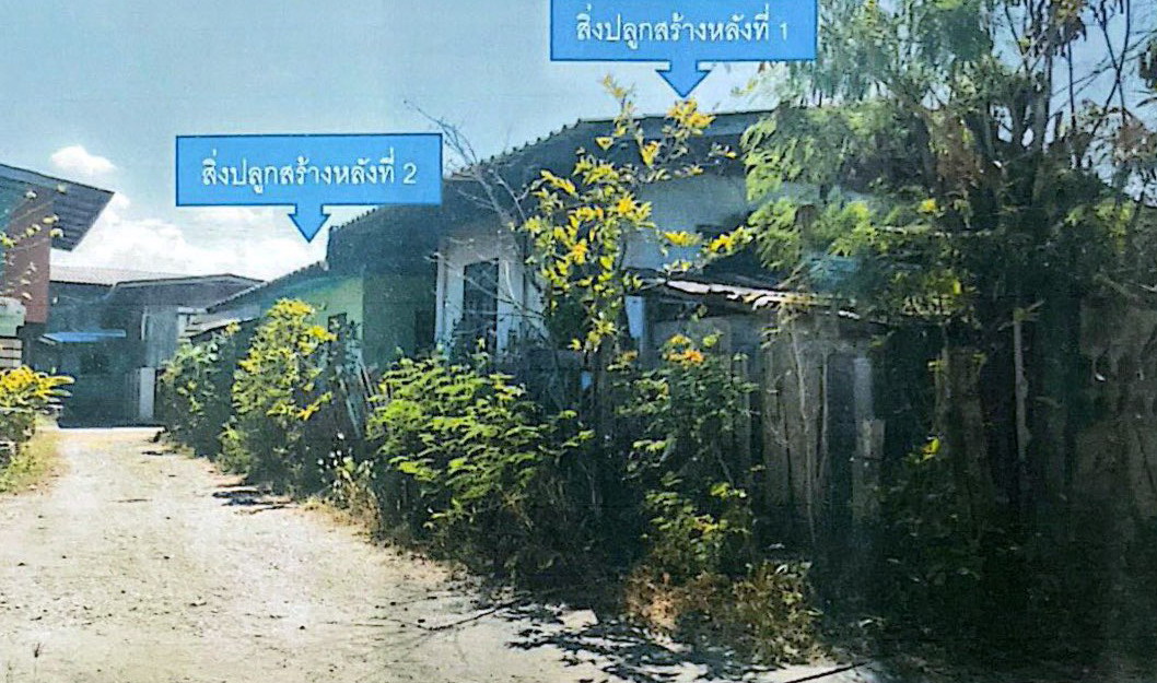 ขายทอดตลาด ที่ดินพร้อมสิ่งปลูกสร้าง ต.มะเขือแจ้ อ.เมืองลำพูน จ.ลำพูน
