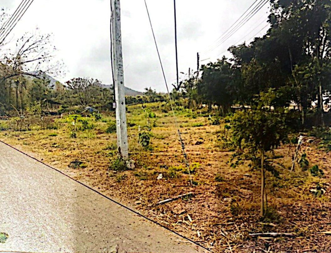ขายทอดตลาด ที่ดินพร้อมสิ่งปลูกสร้าง ต.มะกอก อ.ป่าซาง จ.ลำพูน