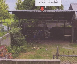 รูปทรัพย์ 2