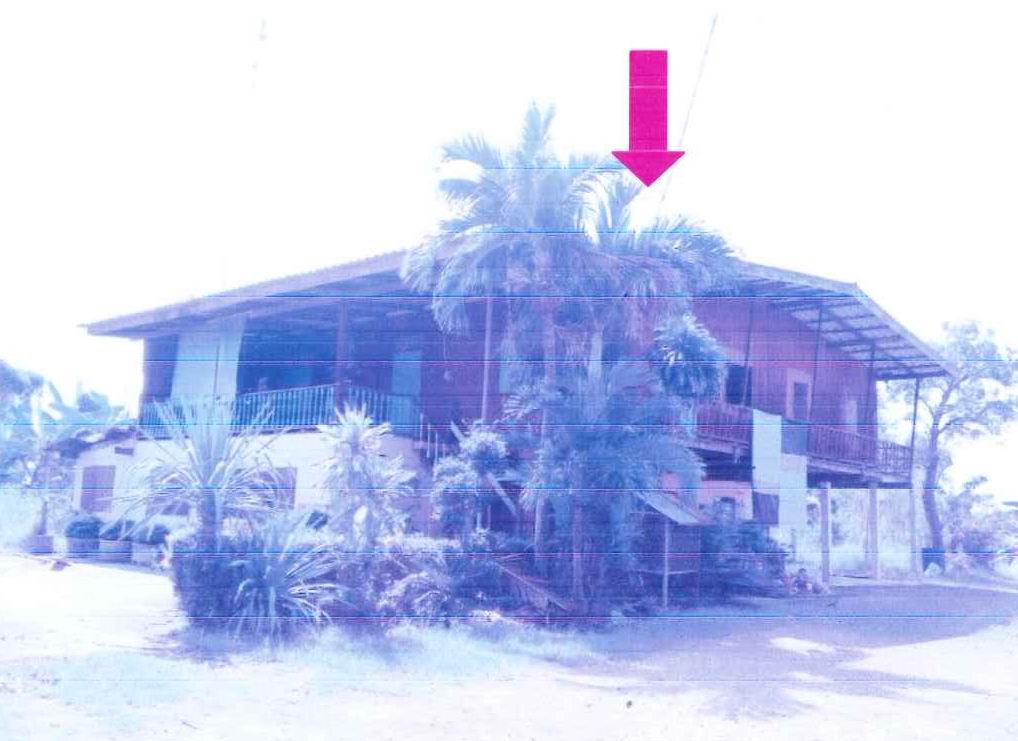ขายทอดตลาด ที่ดินพร้อมสิ่งปลูกสร้าง ต.ชัยนาท อ.เมืองชัยนาท จ.ชัยนาท