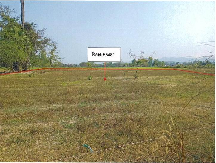 ขายทอดตลาด ที่ดินว่างเปล่า จ.ลำพูน