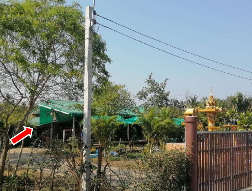 ขายทอดตลาด ที่ดินพร้อมสิ่งปลูกสร้าง ต.ท่าชุมพล อ.โพธาราม จ.ราชบุรี