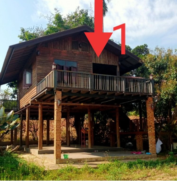 ขายทอดตลาด ที่ดินพร้อมสิ่งปลูกสร้าง ต.ลี้ อ.ลี้ จ.ลำพูน