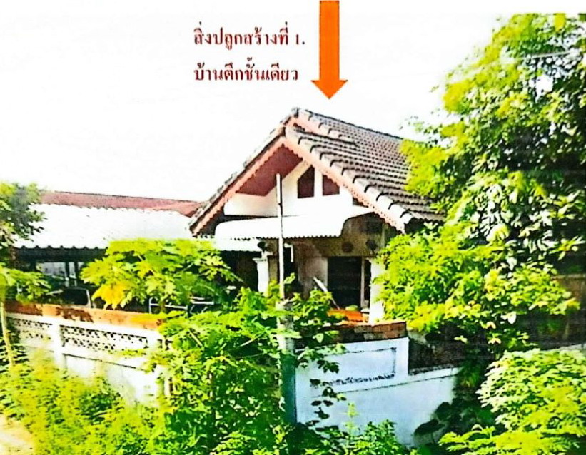 ขายทอดตลาด ที่ดินพร้อมสิ่งปลูกสร้าง ต.เหมืองง่า อ.เมืองลำพูน จ.ลำพูน