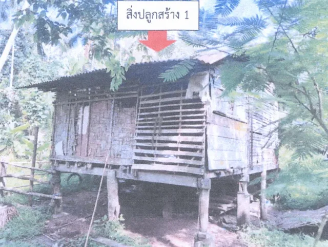 ขายทอดตลาด ที่ดินพร้อมสิ่งปลูกสร้าง ต.บุดี อ.เมืองยะลา จ.ยะลา