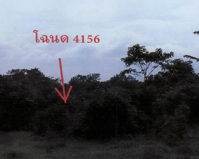 ขายทอดตลาด ที่ดินว่างเปล่า ต.บาเจาะ อ.บันนังสตา จ.ยะลา