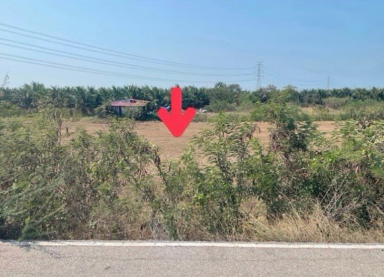 ขายทอดตลาด ที่ดินว่างเปล่า จ.ราชบุรี